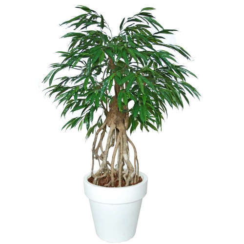 Planta semi-artificiala Ila, Longifolia Everglades Green - 200 cm